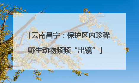 云南昌宁：保护区内珍稀野生动物频频“出镜”