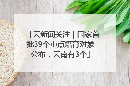云新闻关注｜国家首批39个重点培育对象公布，云南有3个