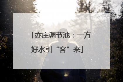 亦庄调节池：一方好水引“客”来