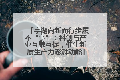 亭湖向新而行步履不“亭”：科创与产业互融互促，催生新质生产力澎湃动能