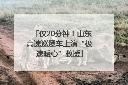仅20分钟！山东高速巡逻车上演“极速暖心”救援