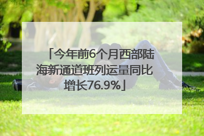 今年前6个月西部陆海新通道班列运量同比增长76.9%