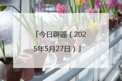 今日辟谣（2025年5月27日）