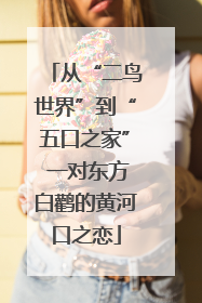 从“二鸟世界”到“五口之家” 一对东方白鹳的黄河口之恋