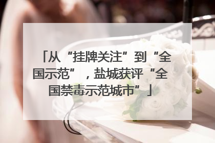 从“挂牌关注”到“全国示范”，盐城获评“全国禁毒示范城市”