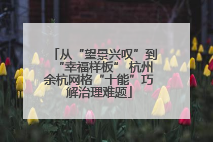 从“望景兴叹”到“幸福样板” 杭州余杭网格“十能”巧解治理难题