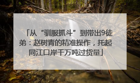 从“驯服抓斗”到带出9徒弟：赵树青的精准操作，托起同江口岸千万吨过货量