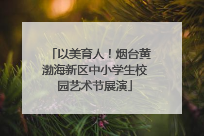 以美育人！烟台黄渤海新区中小学生校园艺术节展演