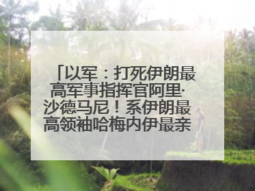以军：打死伊朗最高军事指挥官阿里·沙德马尼！系伊朗最高领袖哈梅内伊最亲密的人之一