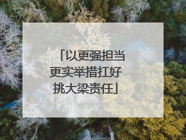 以更强担当更实举措扛好挑大梁责任