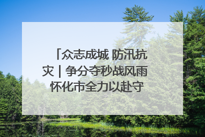 众志成城 防汛抗灾｜争分夺秒战风雨 怀化市全力以赴守护人民群众安全