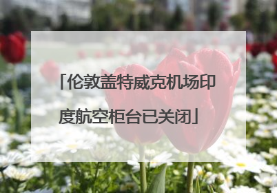 伦敦盖特威克机场印度航空柜台已关闭