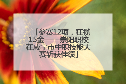 参赛12项，狂揽15金——崇阳职校在咸宁市中职技能大赛斩获佳绩