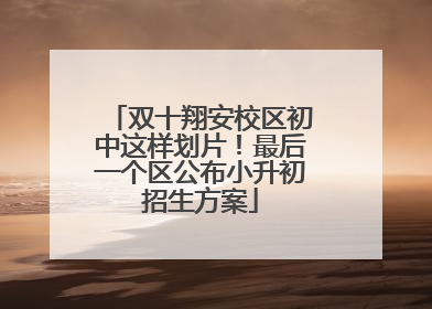 双十翔安校区初中这样划片！最后一个区公布小升初招生方案