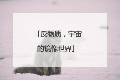 反物质，宇宙的镜像世界