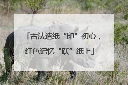 古法造纸“印”初心，红色记忆“跃”纸上