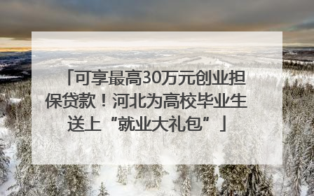 可享最高30万元创业担保贷款！河北为高校毕业生送上“就业大礼包”