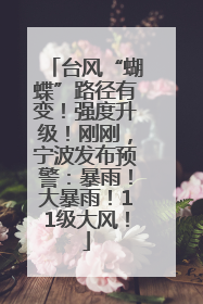 台风“蝴蝶”路径有变！强度升级！刚刚，宁波发布预警：暴雨！大暴雨！11级大风！