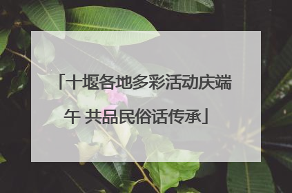 十堰各地多彩活动庆端午 共品民俗话传承