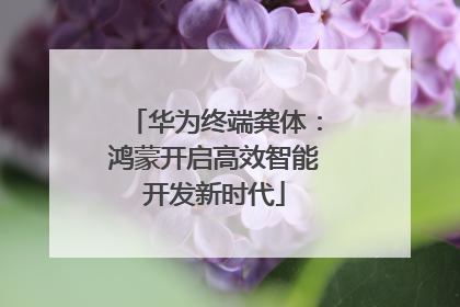 华为终端龚体：鸿蒙开启高效智能开发新时代