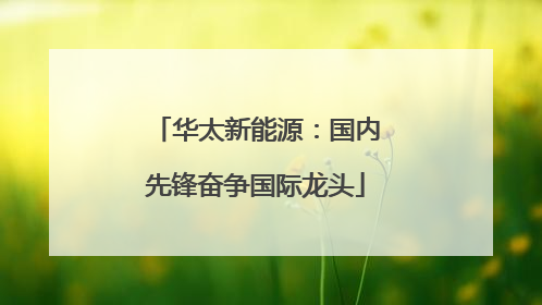 华太新能源：国内先锋奋争国际龙头