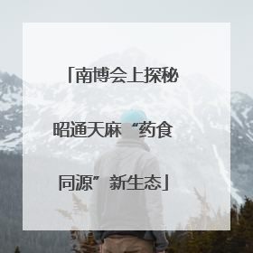 南博会上探秘昭通天麻“药食同源”新生态