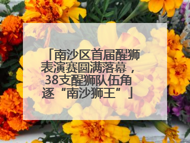 南沙区首届醒狮表演赛圆满落幕，38支醒狮队伍角逐“南沙狮王”