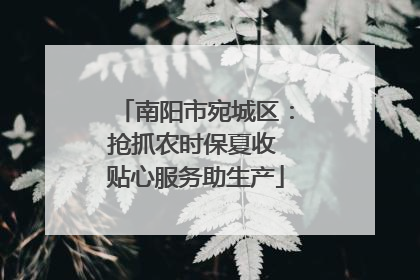 南阳市宛城区：抢抓农时保夏收 贴心服务助生产