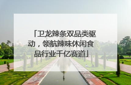 卫龙辣条双品类驱动，领航辣味休闲食品行业千亿赛道