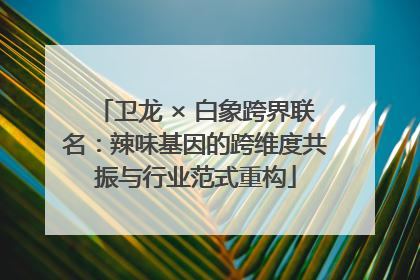 卫龙 × 白象跨界联名：辣味基因的跨维度共振与行业范式重构