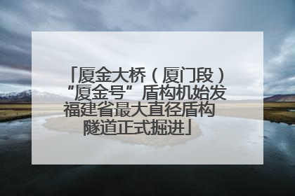 厦金大桥（厦门段）“厦金号”盾构机始发 福建省最大直径盾构隧道正式掘进