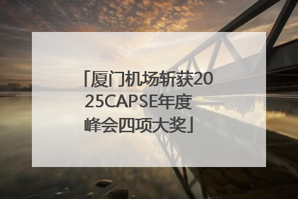厦门机场斩获2025CAPSE年度峰会四项大奖