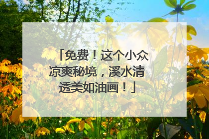 免费！这个小众凉爽秘境，溪水清透美如油画！