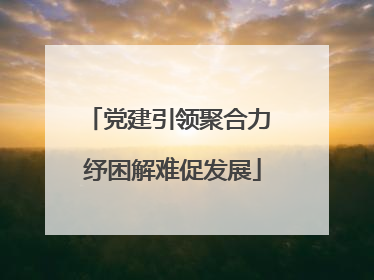 党建引领聚合力 纾困解难促发展