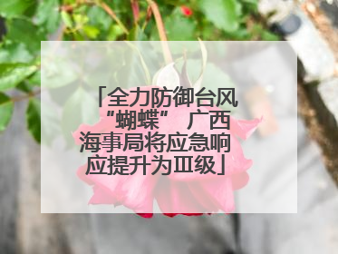 全力防御台风“蝴蝶” 广西海事局将应急响应提升为Ⅲ级