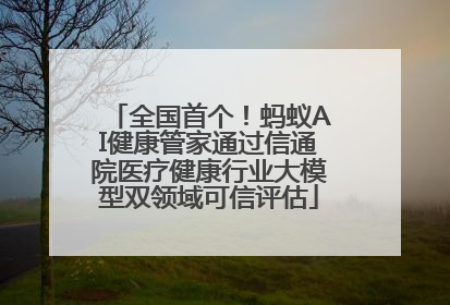 全国首个！蚂蚁AI健康管家通过信通院医疗健康行业大模型双领域可信评估