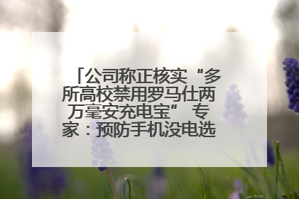 公司称正核实“多所高校禁用罗马仕两万毫安充电宝” 专家：预防手机没电选中等体积产品即可