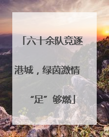 六十余队竞逐港城，绿茵激情“足”够燃