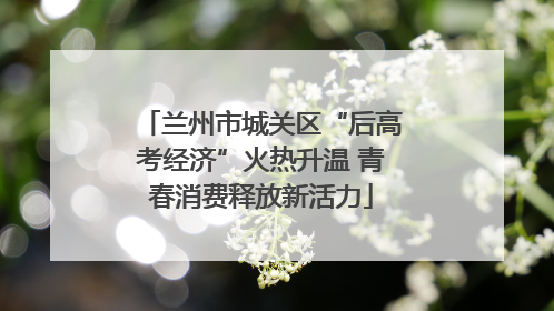 兰州市城关区“后高考经济”火热升温 青春消费释放新活力