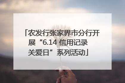 农发行张家界市分行开展“6.14 信用记录关爱日”系列活动
