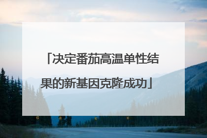 决定番茄高温单性结果的新基因克隆成功