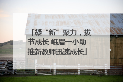 凝“新”聚力，拔节成长 峨眉一小助推新教师迅速成长