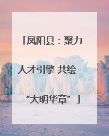 凤阳县：聚力人才引擎 共绘“大明华章”
