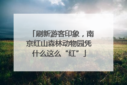 刷新游客印象，南京红山森林动物园凭什么这么“红”