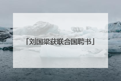 刘国梁获联合国聘书