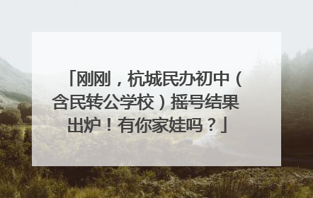 刚刚，杭城民办初中（含民转公学校）摇号结果出炉！有你家娃吗？