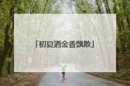 初夏洒金香飘散
