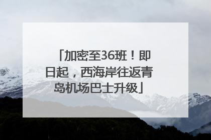 加密至36班！即日起，西海岸往返青岛机场巴士升级