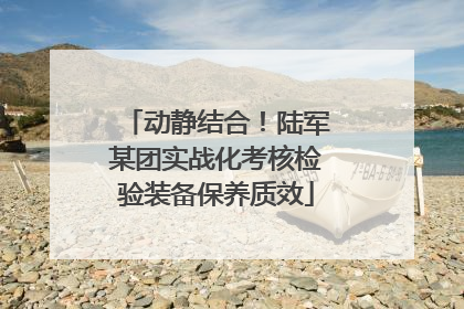动静结合！陆军某团实战化考核检验装备保养质效
