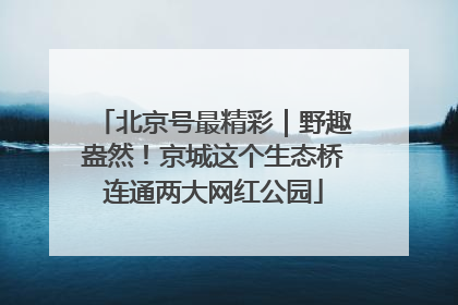 北京号最精彩｜野趣盎然！京城这个生态桥连通两大网红公园